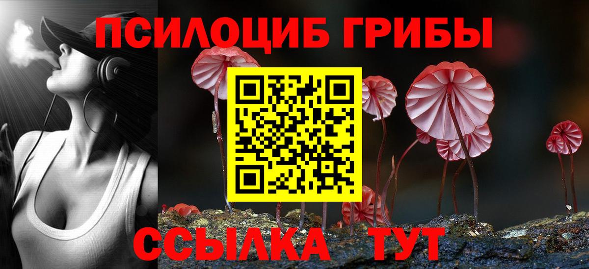 Галлюциногенные грибы GOLDEN TEACHER Кохма