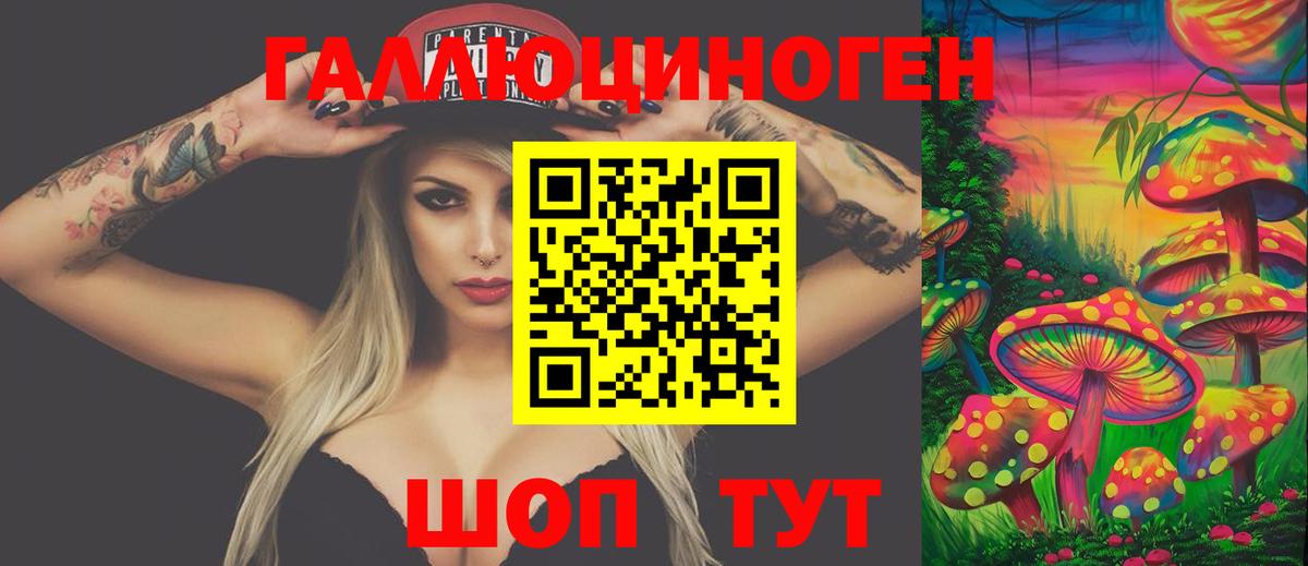 Кохма  Псилоцибиновые грибы мицелий  Вход с VPN 